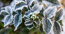 
В Украине трое суток продержатся заморозки и снег - синоптики
