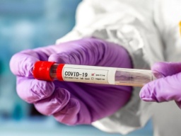 &laquo;Посещали церковь&raquo;: Минздрав связал рост количества заболевших COVID-19 с Вербным воскресеньем