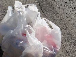 Жители Украины массово используют неэкологичные пакеты