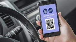 
С 1 июля растаможить автомобиль можно будет в Дие
