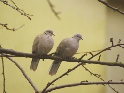 Cиноптик: В среду в Украине ощутимо потеплеет (КАРТА)