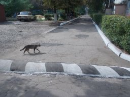 Жители Ильиновской громады своими силами взялись за ремонт дорог