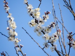 Прогноз погоды на 2 апреля: В Украине малооблачно, днем до +11&deg;С