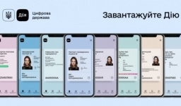 В &laquo;Дие&raquo; теперь можно оформить статус ВПЛ и получить денежную помощь