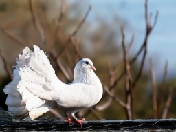 Прогноз погоды на 3 марта: В Украине без существенных осадков, днем местами до +17&deg;С