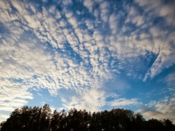 Cиноптик: Пятница принесет в Украину &laquo;бархатные&raquo; градусы (КАРТА)