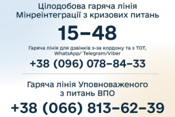 
ВПЛ смогут получать социальные услуги по месту нахождения
