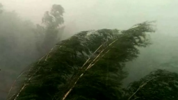 
По всей Украине объявлено штормовое предупреждение
