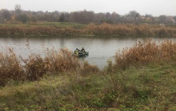 В Константиновке спасли лебедя