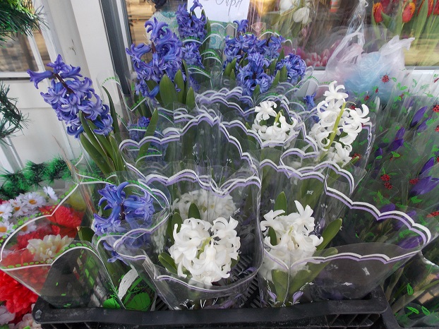 В Константиновке расцвели крокусы, тюльпаны, примулы, гиацинты &ndash; что почем к 8 Марта