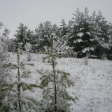 Донецкий край