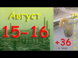 Довге... 16 серпня 2022 року.  Костянтинівка.  Донецька область.  Донбас.