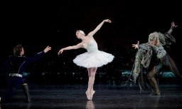 В Константиновке показали &laquo;Лебединое озеро&raquo;