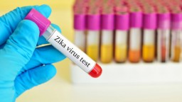 Вирус ЗИКА скоро может добраться и до Константиновки