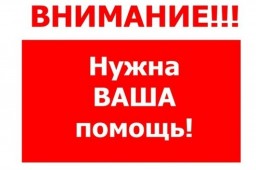 НУЖНА ВАША&nbsp;ПОМОЩЬ!