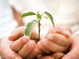 Благотворительная деятельность в прошлом году дает право на налоговую скидку