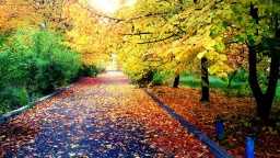 Обстановка в Константиновке 29 сентября 2022 года