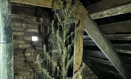 У жителя Константиновки нашли 1,3 кг каннабиса