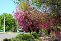 
Обстановка в Константиновской громаде 7 мая 2023 года
