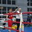 Боксери з Костянтинівки здобули золото на всеукраїнському чемпіонаті в Мукачевому 2