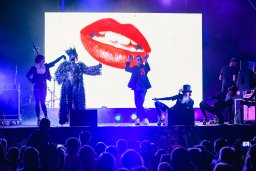 В летнем парке &mdash; грандиозная Караоке PARTY: жители и гости Константиновки продемонстрировали свои та