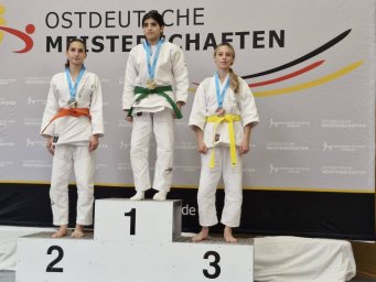 Ксенія Антонова з Костянтинівки здобула &laquo;бронзу&raquo; на чемпіонаті Східної Німеччини з джиу-джитсу