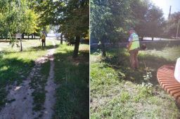 ​КП &laquo;Объединение парков и кинотеатров&raquo; проводятся работы по покосу травы