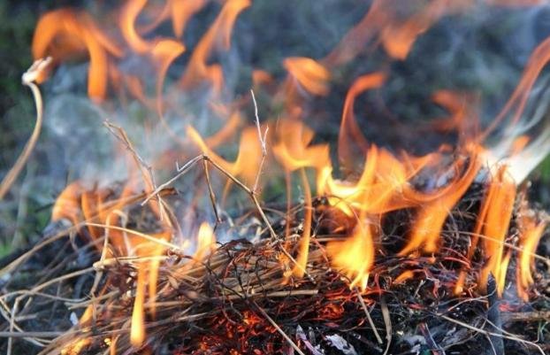 В 7 областях Украины &ndash; высокая пожарная опасность