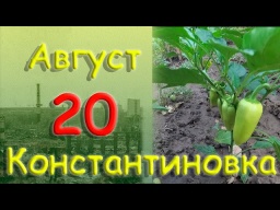 20 серпня 2022 року Костянтинівка Донецька область Донбас