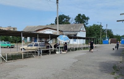 В сезон заготовки овощей цены на домашние огурцы в Константиновке &laquo;зашкаливают&raquo;