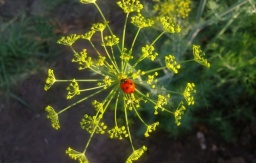 
Синоптики рассказали, какой погоды стоит ожидать от антициклона Zoe
