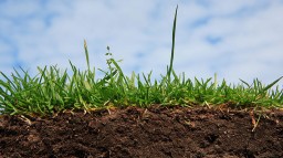 Защитить мораторий на землю уже не удастся &ndash; политолог