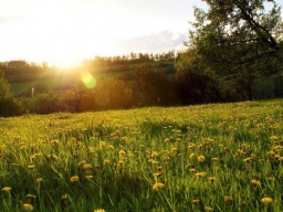 Синоптик: В пятницу антициклон Utz принесет в Украину сухую погоду, будет солнечно и жарко (КАРТЫ)