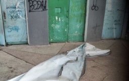 &laquo;Стена брани&raquo; или как учреждение культуры в Константиновке &laquo;обрастает&raquo; нецензурной живописью