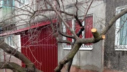 
Коммунальщики Константиновки ликвидировали последствия снегопада
