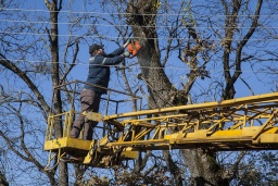 Плановые работы Констаниновского РЭС: Где завтра отключат свет