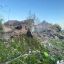 Обстановка в Костянтинівській та Іллінівській громаді на ранок 14 травня 2025 р. Обстріли, руйнування, жертви 5