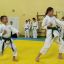 Константиновка: спортсмены завоевали медали на чемпионате по карате-до 3