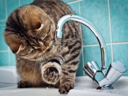 Ремонтные работы на Втором донецком водопроводе