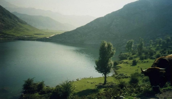 Красота окружающей природы